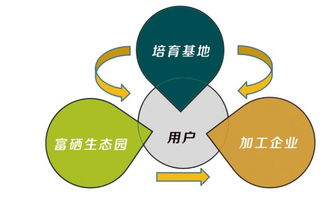 富硒食品連鎖新零售 互聯網分享經濟思維驅動產業(yè)變革